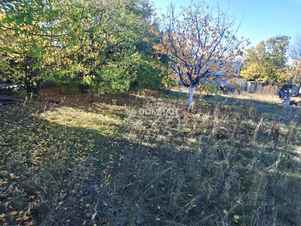 Участок в Ростовская область, Октябрьский район, пос. Персиановский ... - Фото 0