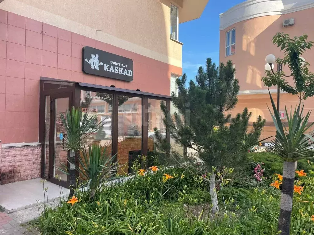 Помещение свободного назначения в Краснодарский край, Геленджик ... - Фото 1