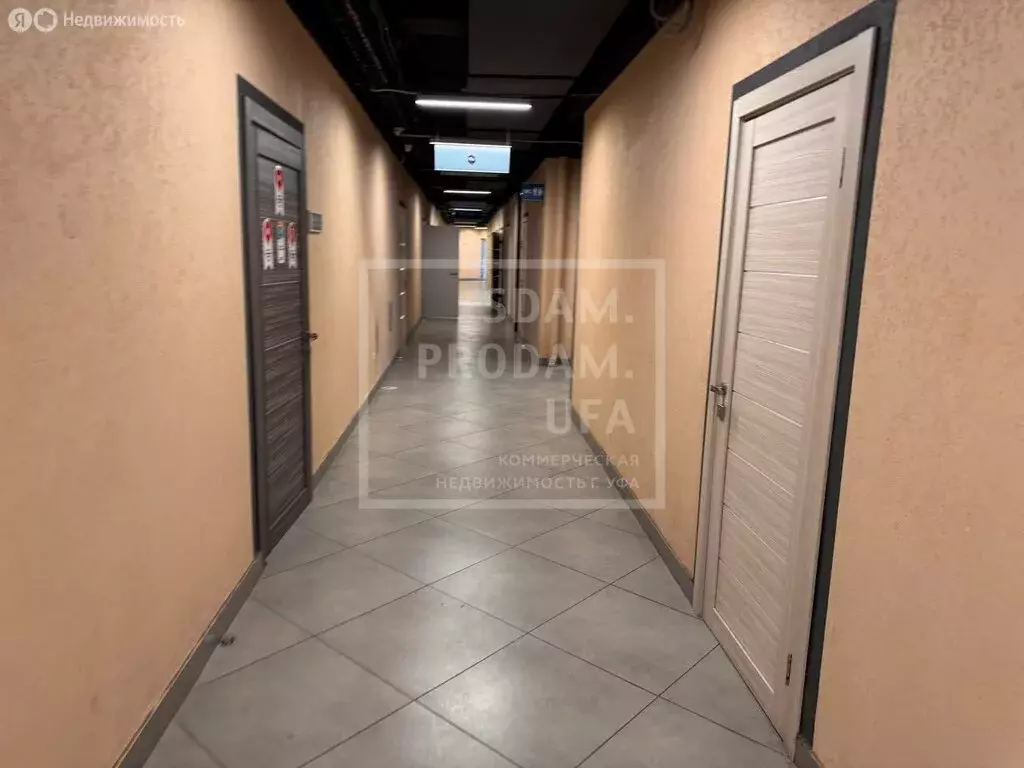 Офис (30 м) - Фото 2