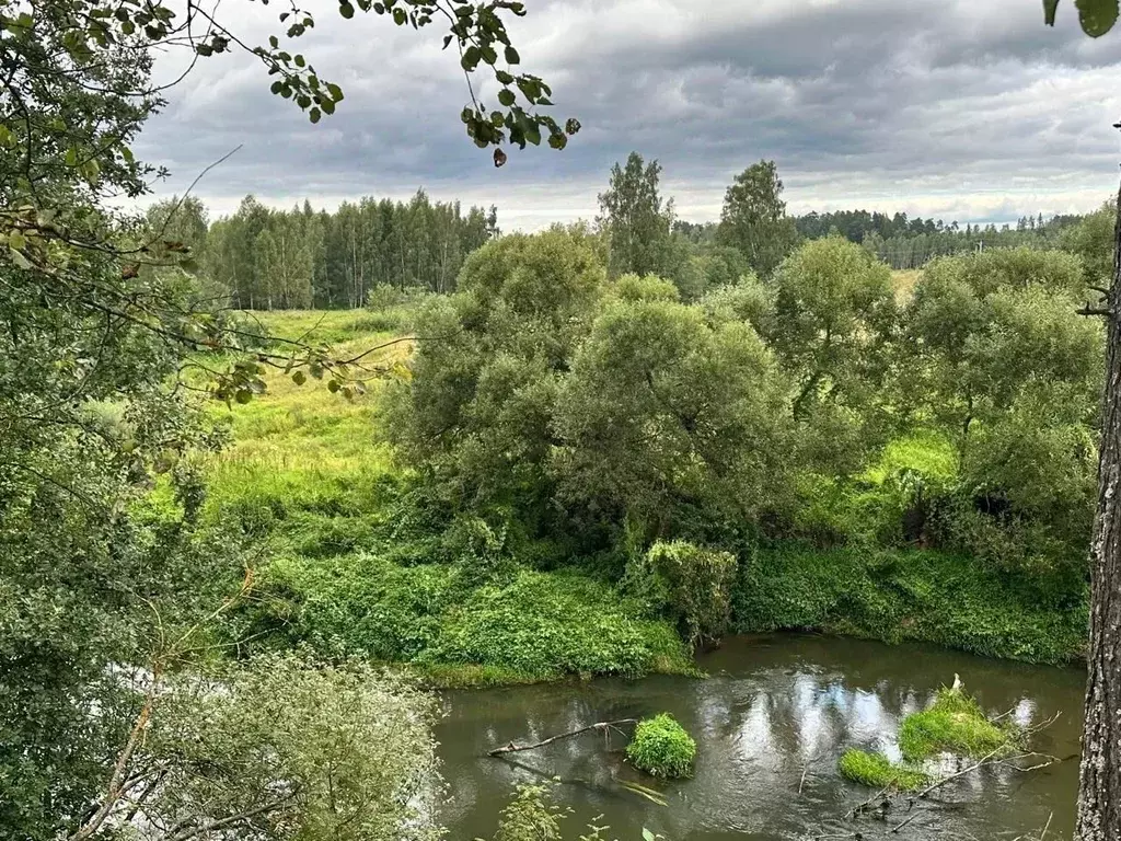 Участок в Московская область, Щелково городской округ, д. Каблуково  ... - Фото 2