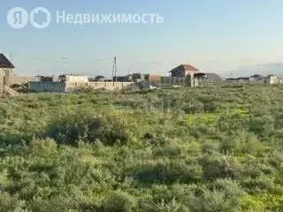 Участок в Калининградская область, Гурьевский муниципальный округ, ... - Фото 2