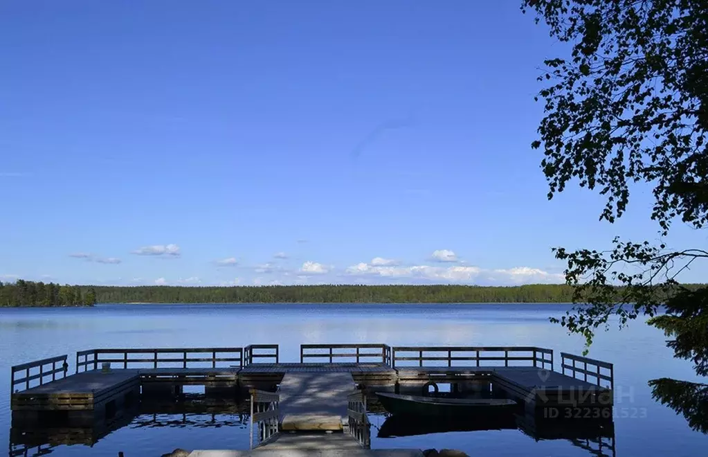 Участок в Ленинградская область, Выборгский район, Приморское ... - Фото 2