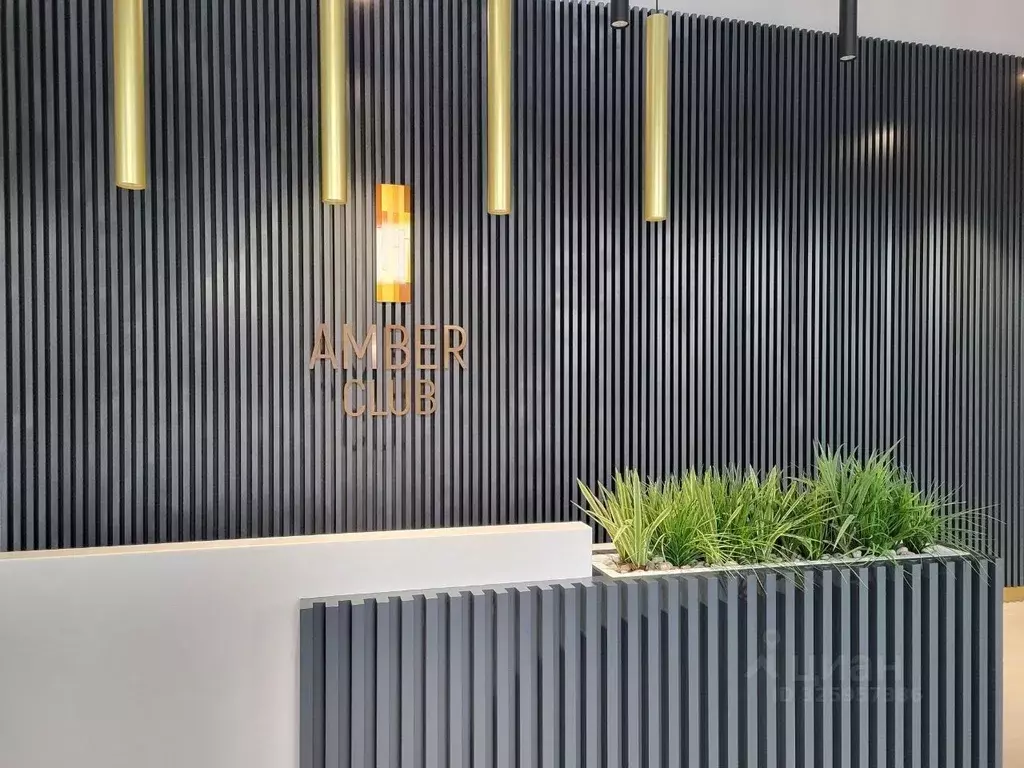 1-к кв. Санкт-Петербург Уральская ул., 25 (25.0 м) - Фото 2