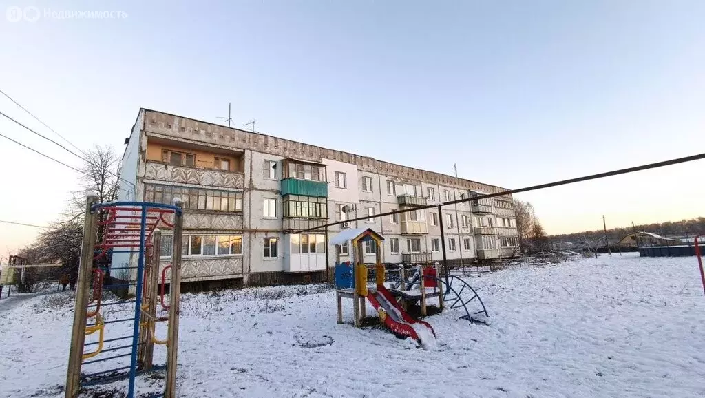 3-комнатная квартира: Нижегородская область, Богородский муниципальный ... - Фото 2