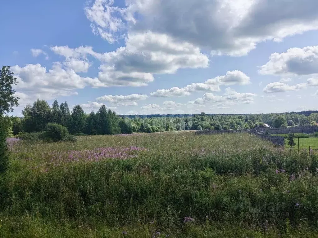 Участок в Вологодская область, Дикая ж/д_ст  (16.0 сот.) - Фото 1