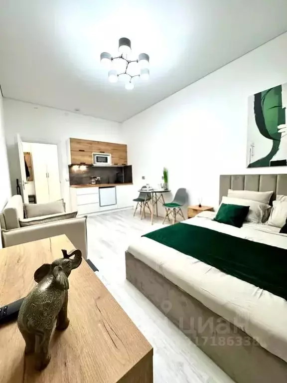 Студия Санкт-Петербург Пулковское ш., 95к3 (25.0 м) - Фото 0