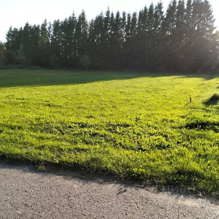 Участок в Московская область, Шаховская муниципальный округ, д. Холмец ... - Фото 1