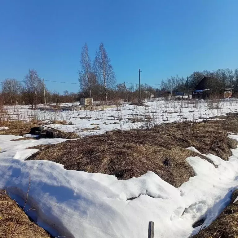 Участок в Вологодская область, Шекснинский муниципальный округ, д. ... - Фото 1