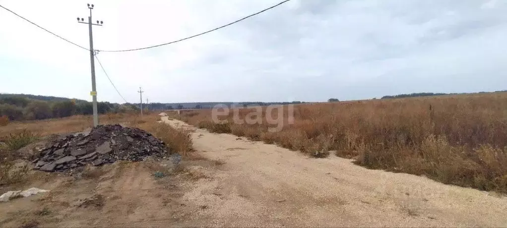 Участок в Воронежская область, Семилукский район, с. Девица ул. ... - Фото 1