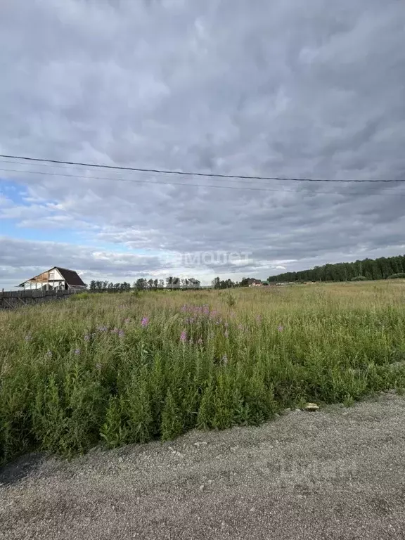 Участок в Челябинская область, Сосновский муниципальный округ, пос. ... - Фото 1