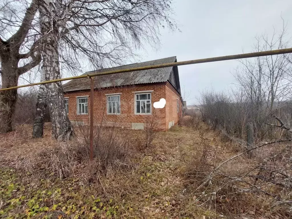 Дом в Мордовия, Большеберезниковский район, с. Паракино Набережная ... - Фото 1