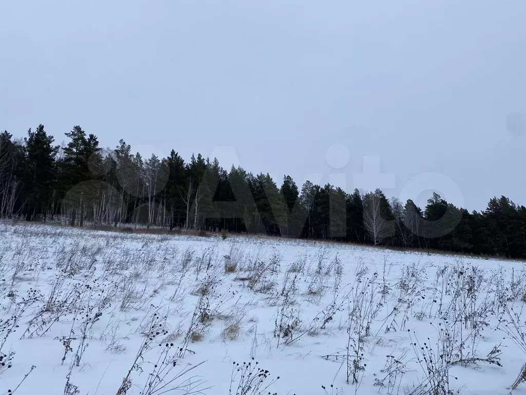 Д крутая красноярский край. Нехлюдов рукав ручей. Макеиха. Квартальная просека. Нехлюдов рукав ручей фото.