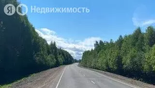 Участок в Ярославская область, Некрасовский муниципальный округ, село ... - Фото 2