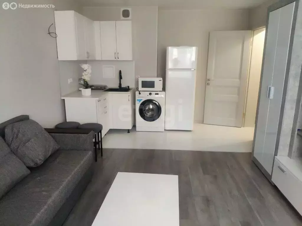 Квартира-студия: Анапа, улица Ленина, 239 (23.9 м) - Фото 0