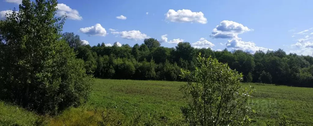 Участок в Ярославская область, Рыбинский муниципальный округ, ... - Фото 1