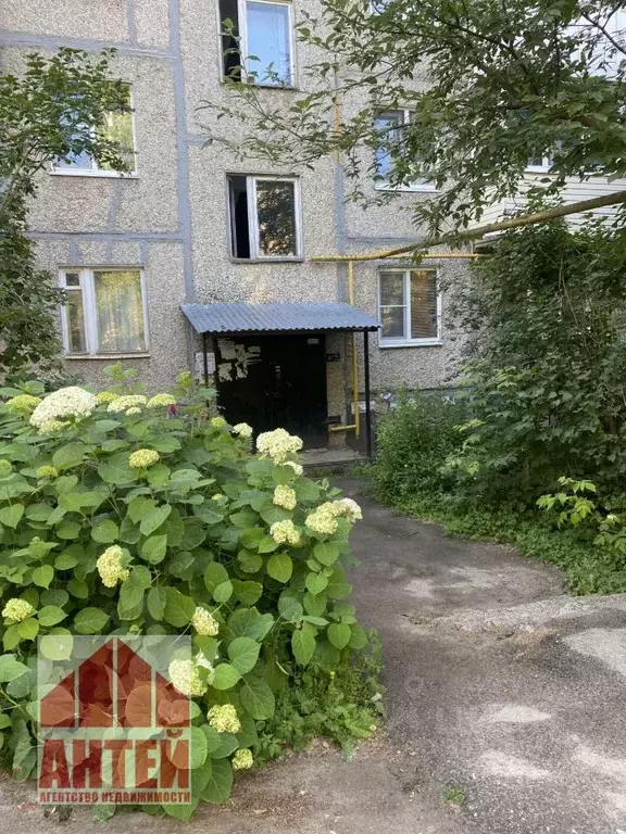 2-к кв. Нижегородская область, Павлово Советская ул., 31 (45.4 м) - Фото 1