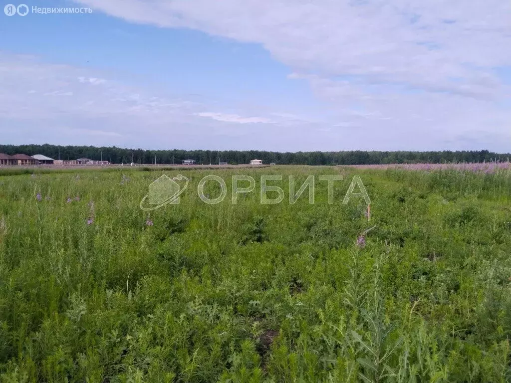 Участок в Тюменский район, село Каменка (40 м) - Фото 0