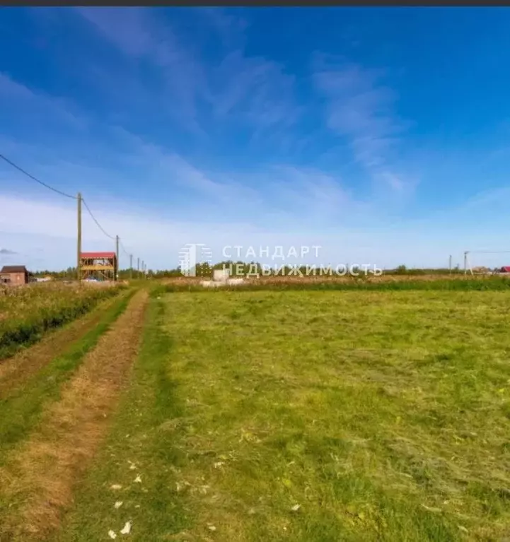 Участок в Тюменская область, Тюмень Большое Царево-2 СНТ,  (10.0 сот.) - Фото 0