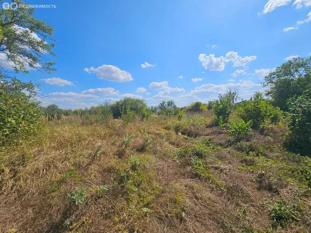 Участок в Абинск, садовое товарищество Нива (12 м) - Фото 2
