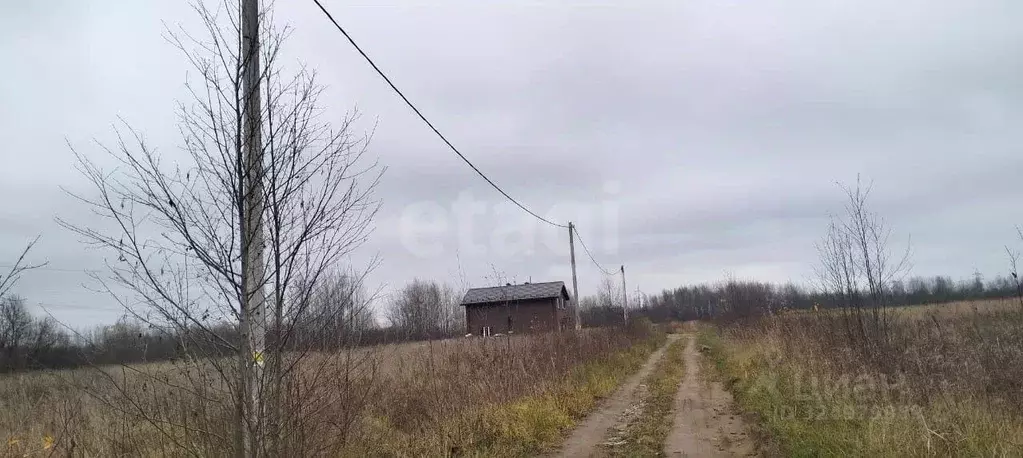 Участок в Ярославская область, Ярославский муниципальный округ, ... - Фото 1