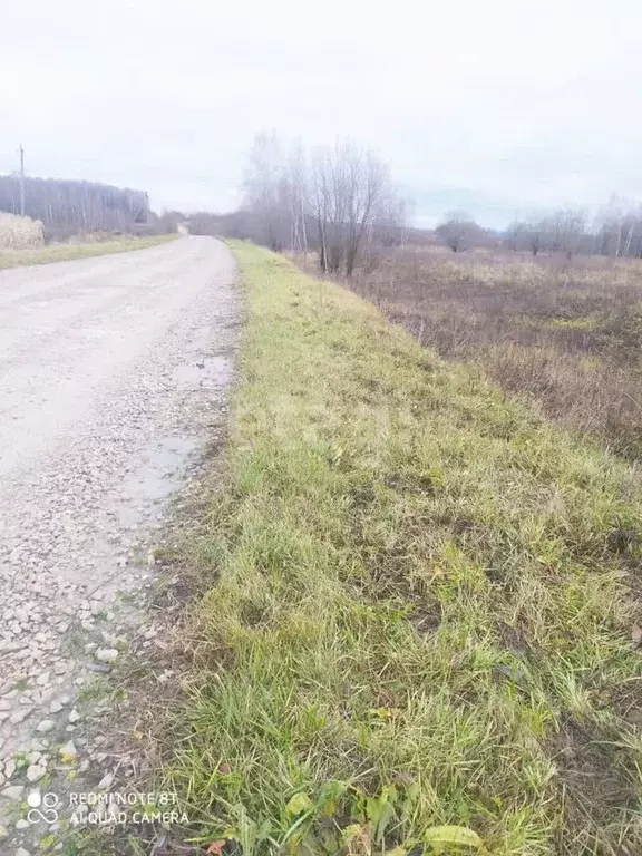 Участок в Калужская область, Козельский район, Каменка с/пос, д. ... - Фото 2