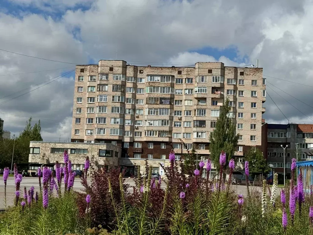 4-к кв. Ленинградская область, Гатчина ул. Авиатриссы Зверевой, 15А ... - Фото 0