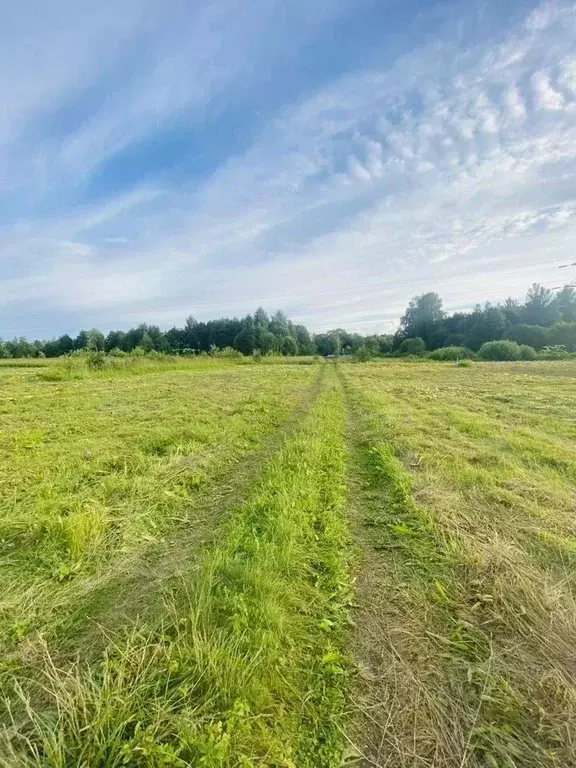 Участок в Ленинградская область, Кингисеппский район, Большелуцкое ... - Фото 1