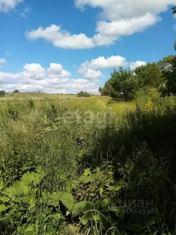 Участок в Башкортостан, Давлекановский район, Рассветовский сельсовет, ... - Фото 1