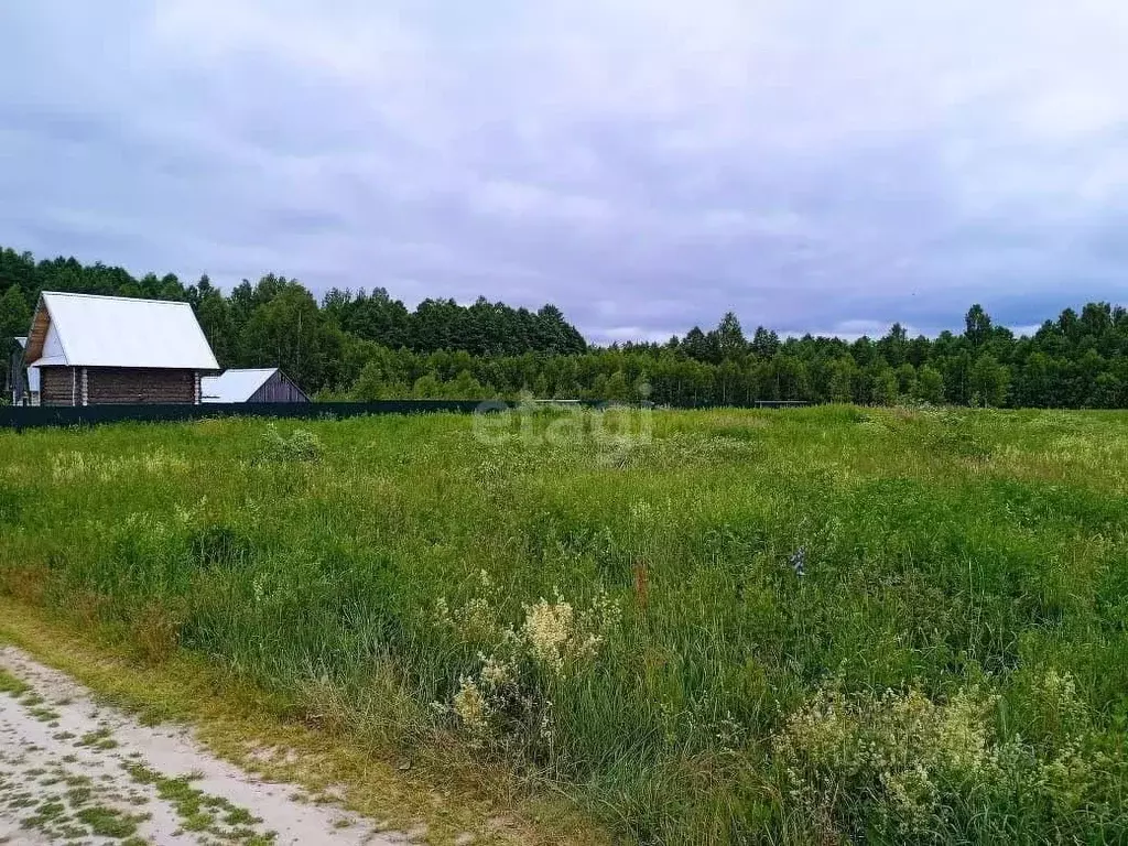 Участок в Марий Эл, Медведевский район, Руэмское с/пос, д. Красовка ... - Фото 0