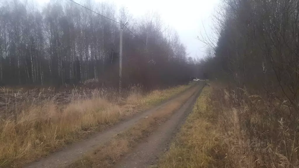 Участок в Владимирская область, Александровский муниципальный округ, ... - Фото 2