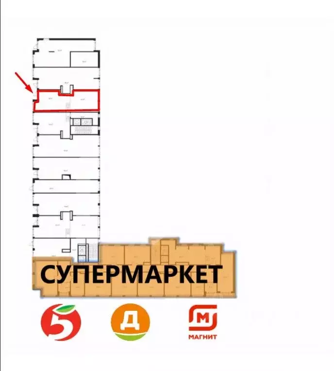 Торговая площадь в Московская область, Химки Клязьма-Старбеево мкр, ... - Фото 1