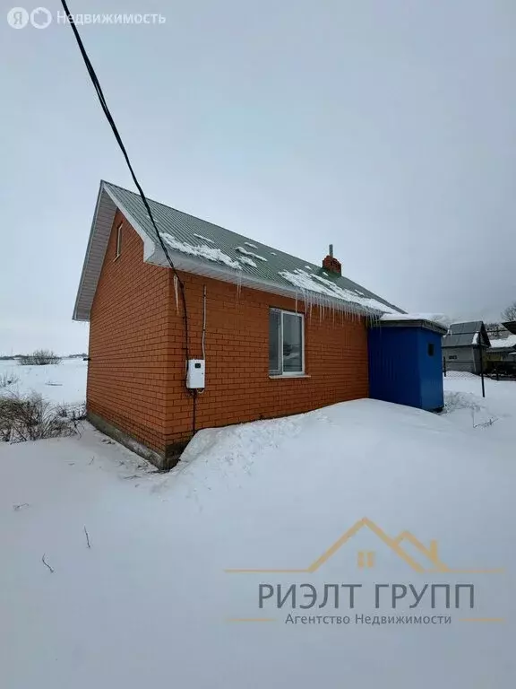 Дом в село Большой Шинар, улица Тукая, 3А (50 м) - Фото 0