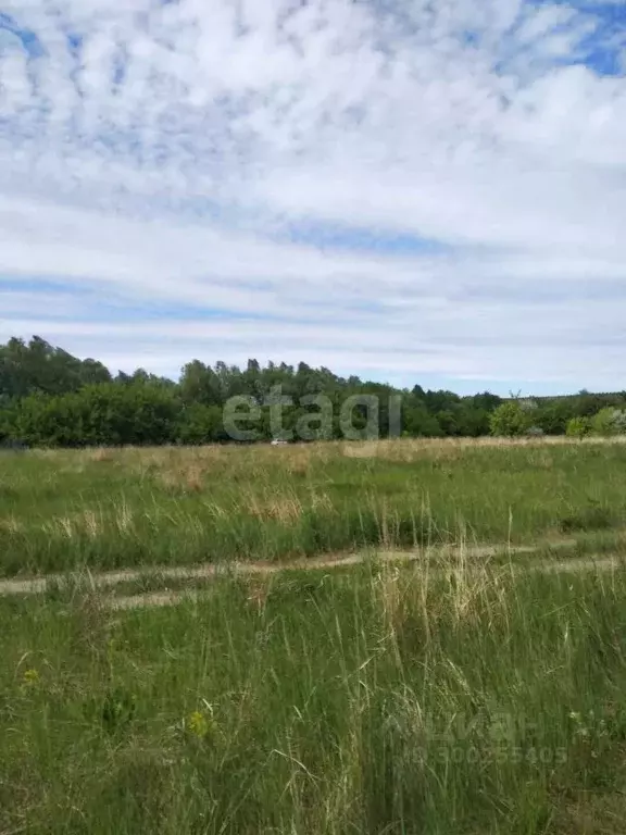 Участок в Ульяновская область, Чердаклинский район, Красноярское ... - Фото 1