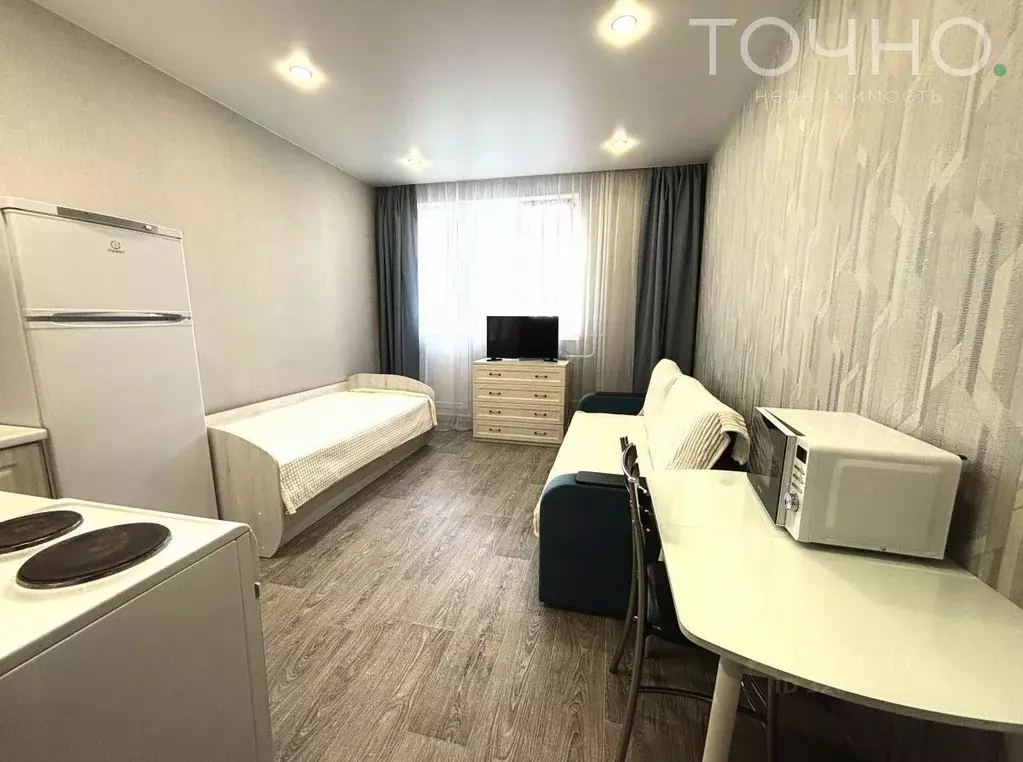 Студия Пензенская область, Пензенский район, Засечный сельсовет, с. ... - Фото 2