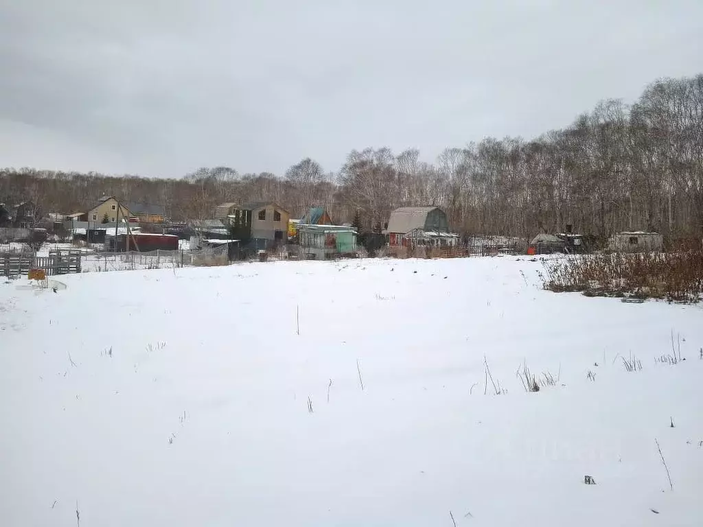 Участок в Камчатский край, Елизовский муниципальный округ, Лесная ... - Фото 2