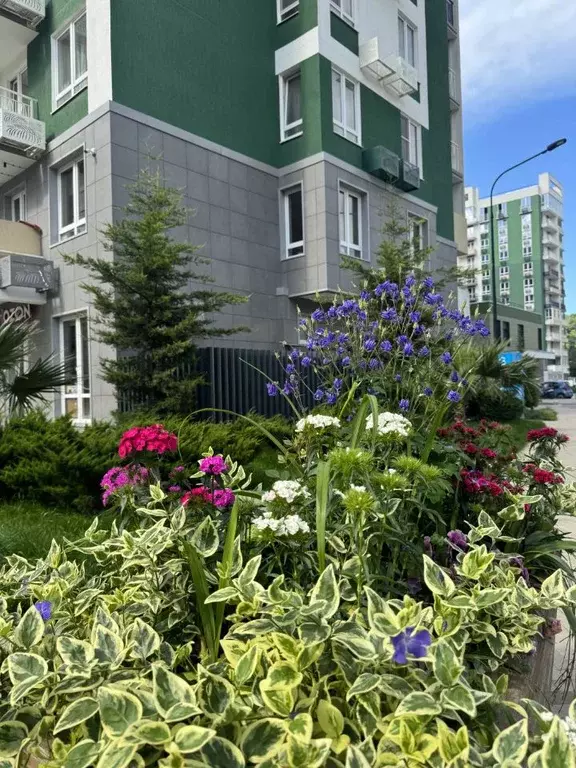 Студия Краснодарский край, Сочи ул. Искры, 66/9к1 (24.9 м) - Фото 1