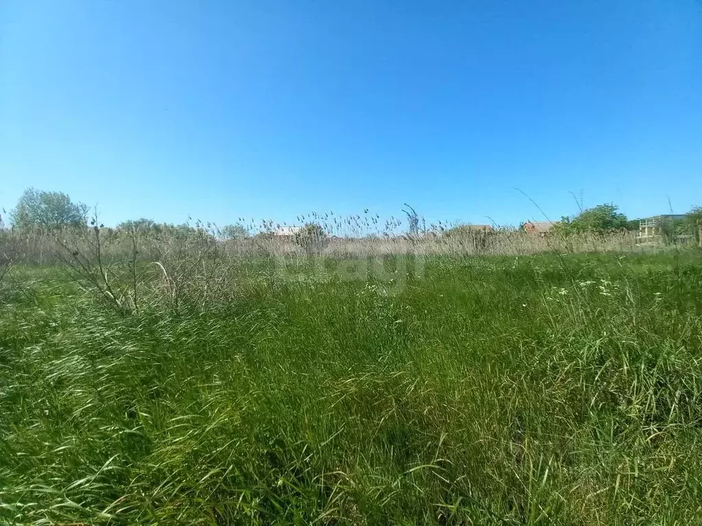 Участок в Краснодарский край, Темрюк ул. Горького (5.0 сот.) - Фото 1