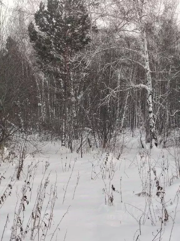 Участок в Иркутская область, Шелеховский район, Баклашинское ... - Фото 2