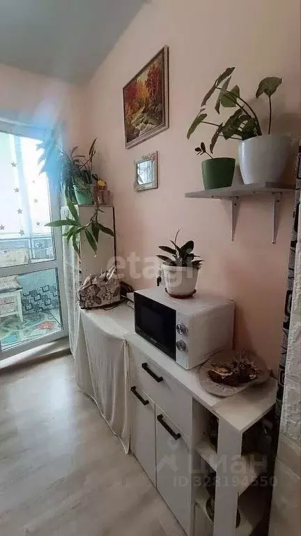 1-к кв. Амурская область, Благовещенск ул. Мухина, 47 (25.0 м) - Фото 1