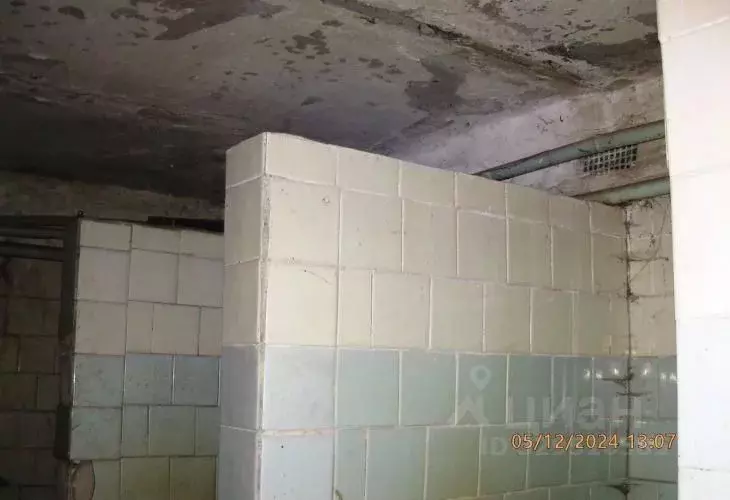 Помещение свободного назначения в Нижегородская область, Нижний ... - Фото 1