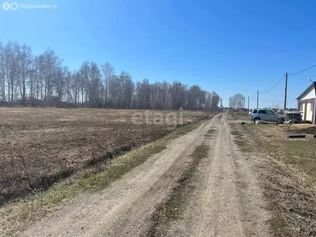 Участок в Павловский район, ДНТ п. Молодёжный (100 м) - Фото 1