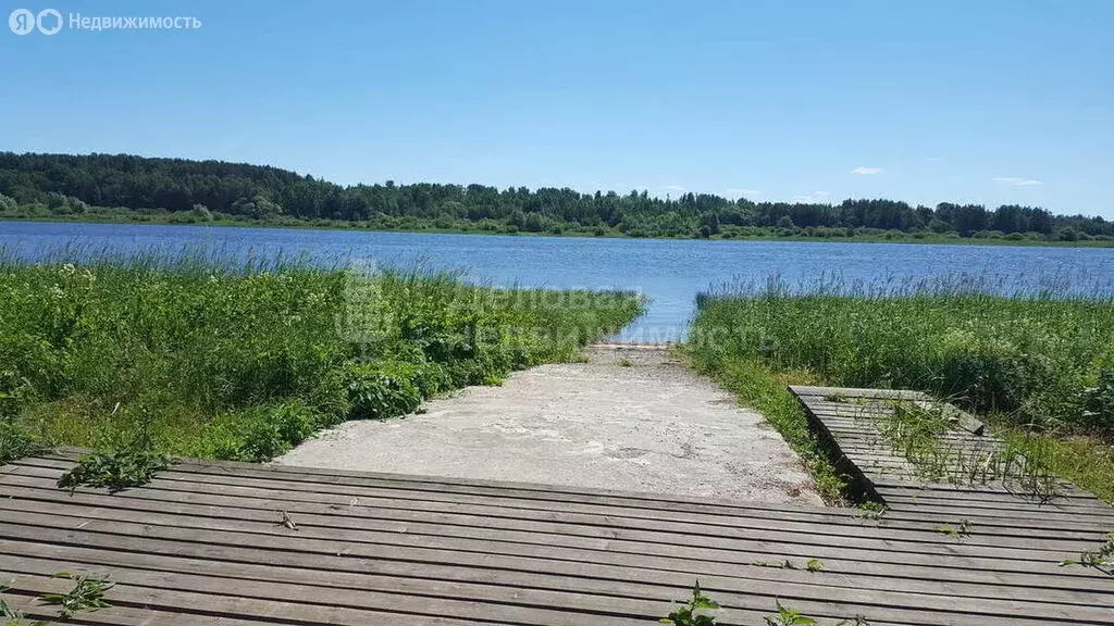 Дом в Новгородский муниципальный район, Трубичинское сельское ... - Фото 2