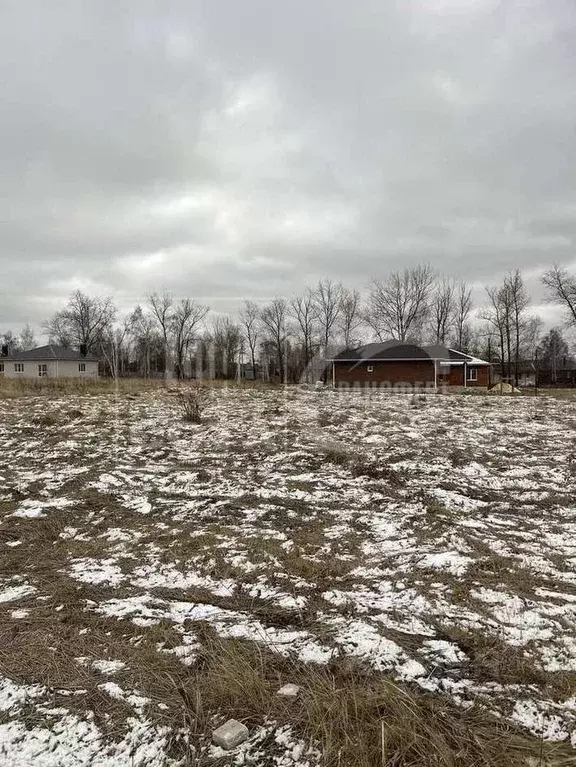 Участок в Воронежская область, с. Новая Усмань ул. Вербная, 3/1 (12.0 ... - Фото 0