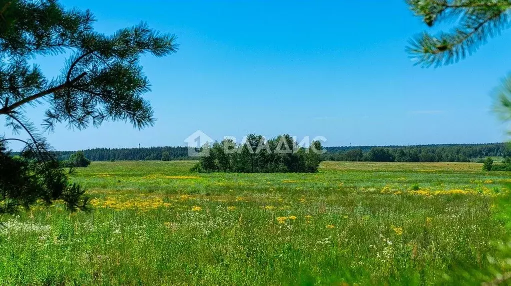 Участок в Московская область, Богородский городской округ, с. Ямкино ... - Фото 1