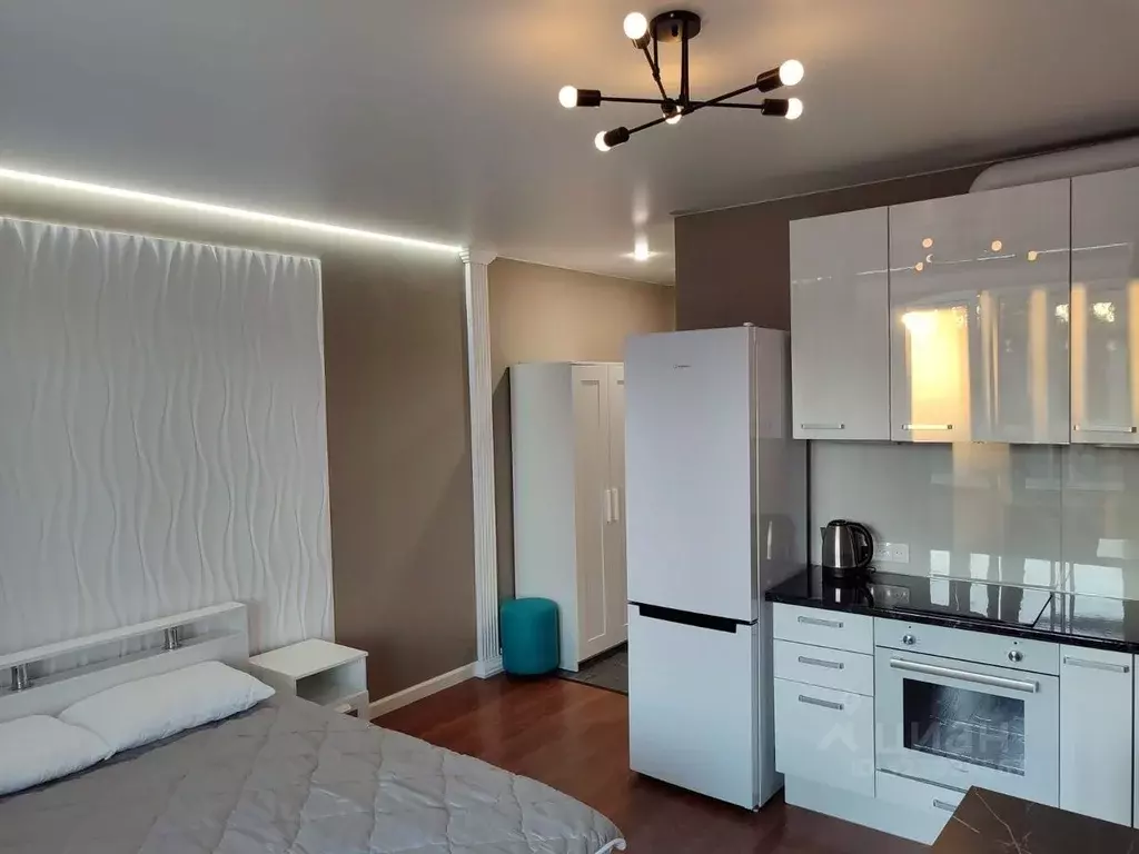 Студия Московская область, Щелково Соболевка мкр, 25 (27.0 м) - Фото 1