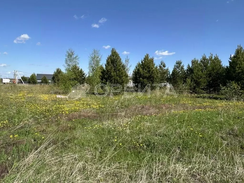 Участок в Тюменская область, Тюменский муниципальный округ, с. Княжево ... - Фото 1