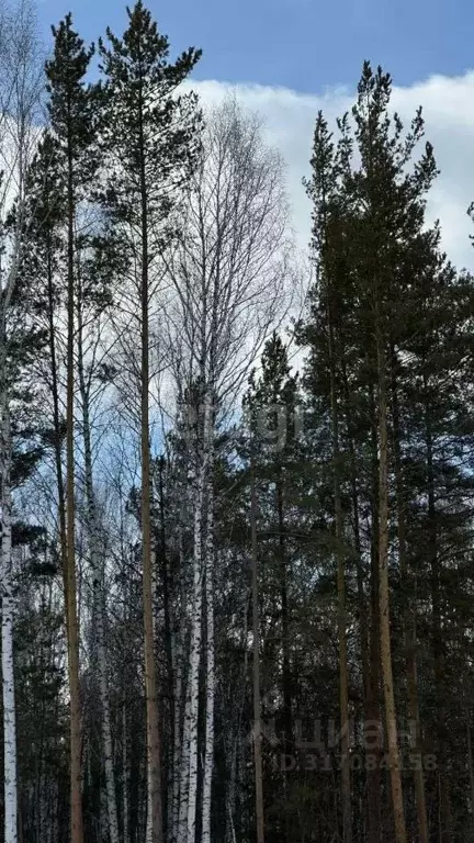 Участок в Свердловская область, Полевской муниципальный округ, с. ... - Фото 1