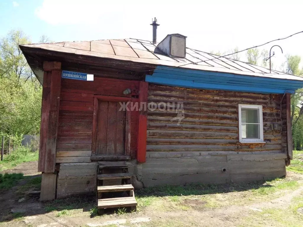 Дом в Алтайский край, Новоалтайск Пушкинская ул. (30 м) - Фото 0