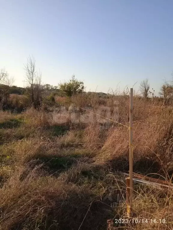 Участок в Ростовская область, Азовский район, Елизаветинское с/пос, ... - Фото 1