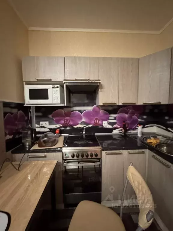 Студия Ленинградская область, Кингисепп ул. Воровского, 50к2 (28.0 м) - Фото 2